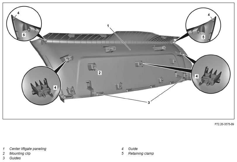 G15492281