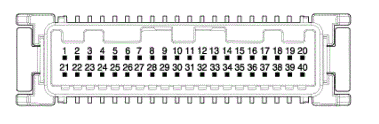 G15496604