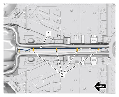 G15505930