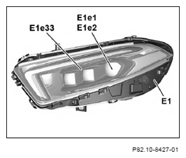 G15509894