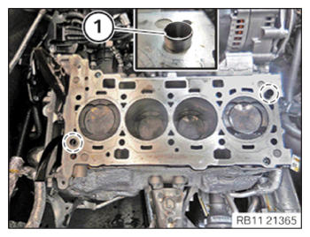 G15510513