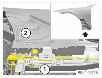 G15515823
