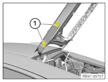 G15516069