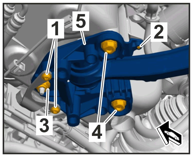 G15528150
