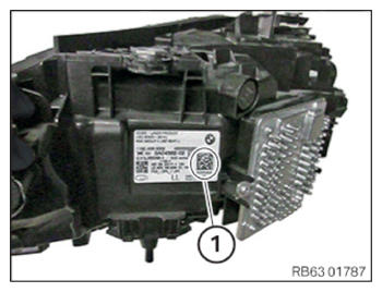 G15530813