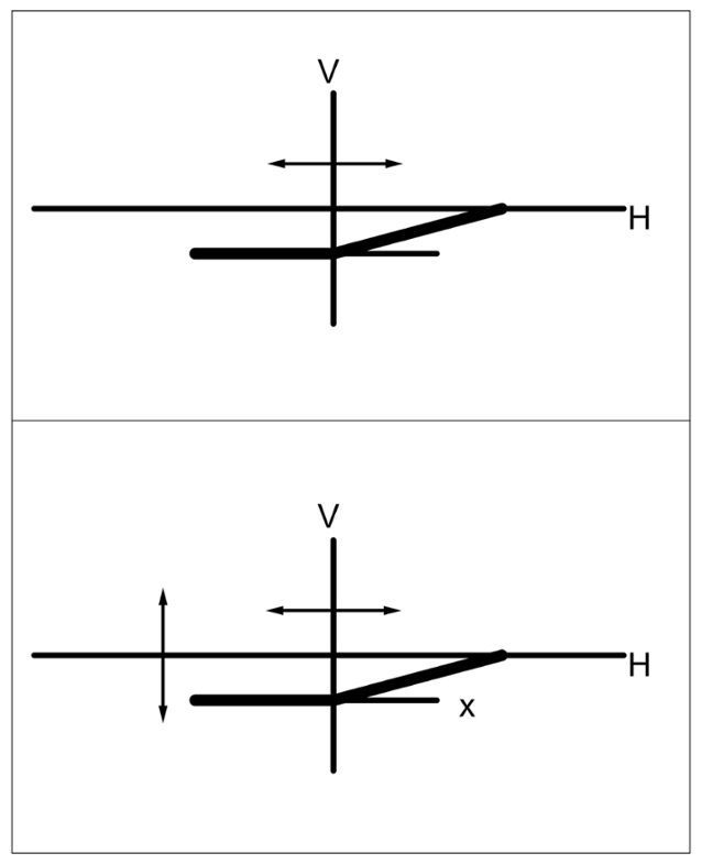 G15535309
