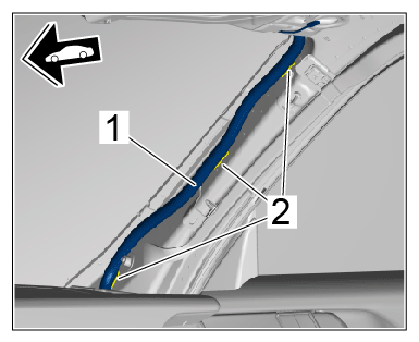 G15535482