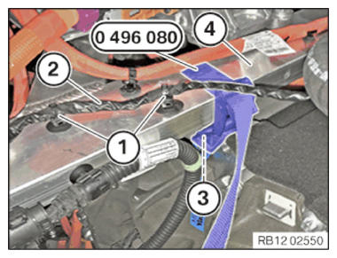 G15544817
