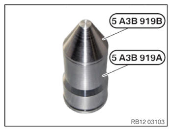 G15544884