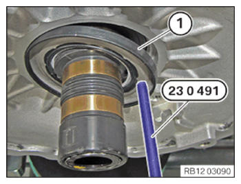 G15544938