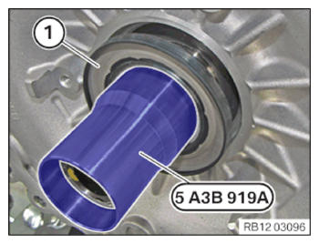 G15544944