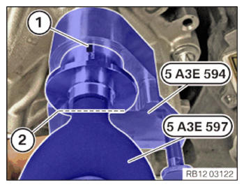 G15544955