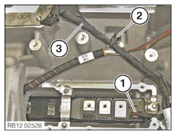 G15545647