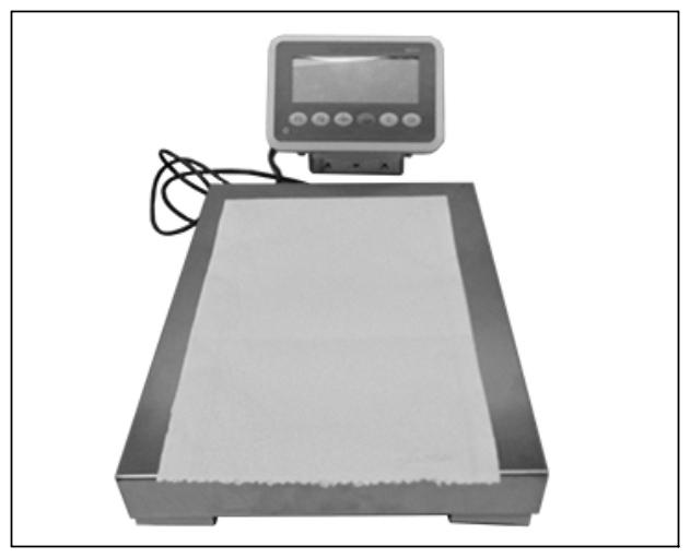 G15551484