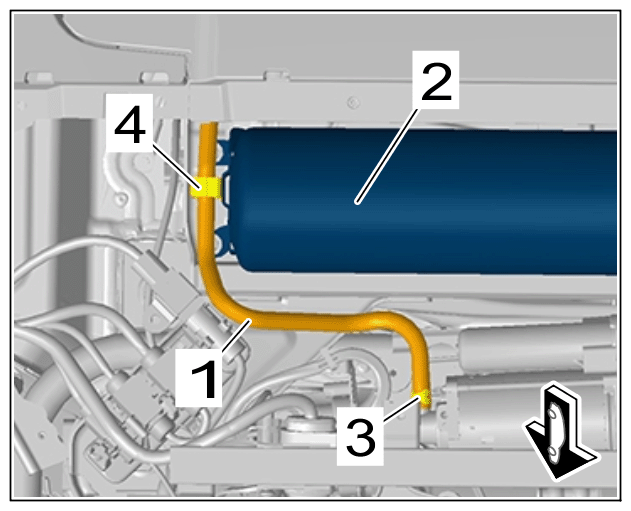 G15553246