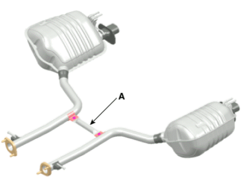 G15556002