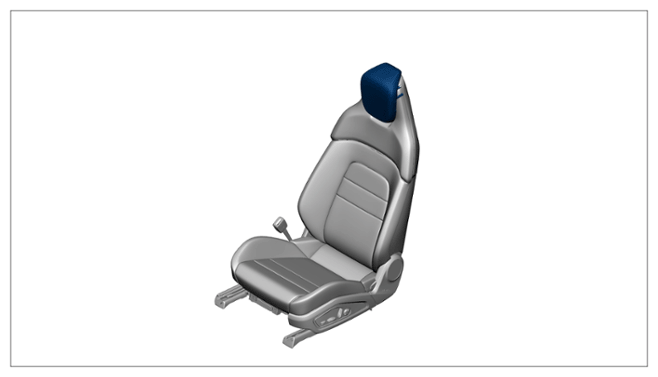 G15565144
