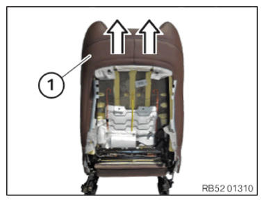 G15582218