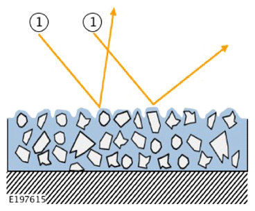 G15609458