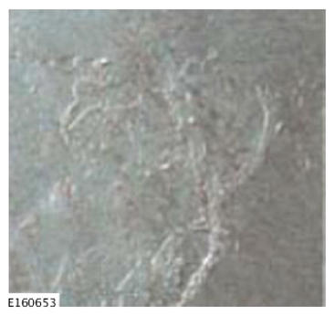G15609505