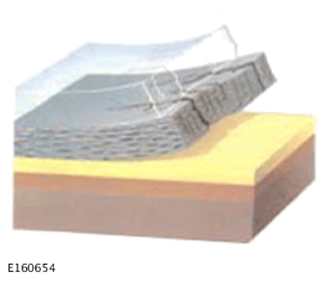 G15609506