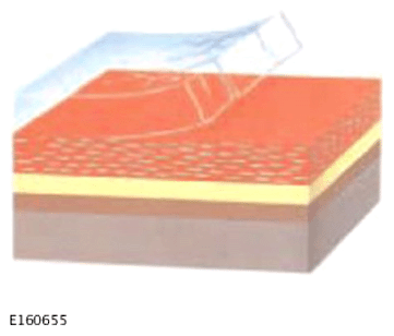 G15609507