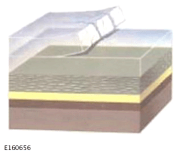 G15609508