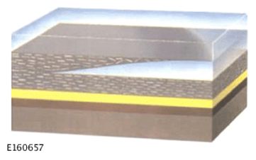 G15609509