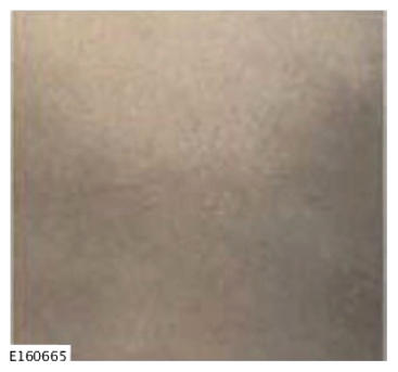 G15609517