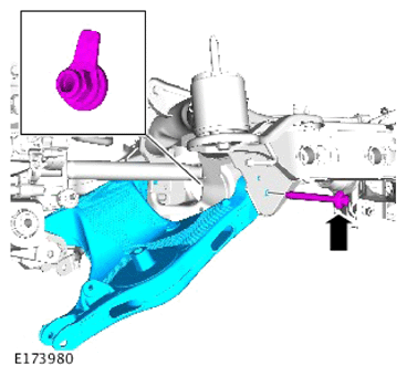 G15610569