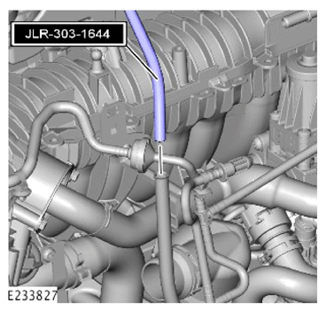 G15617184