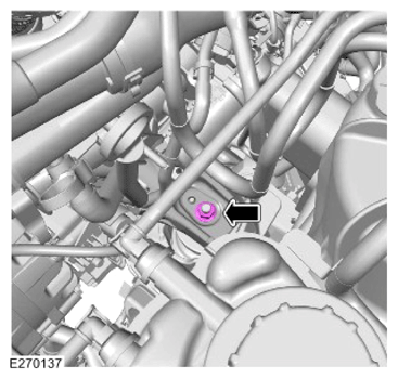G15617286