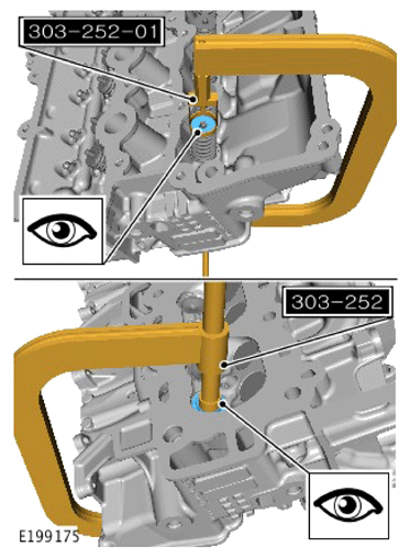 G15617373