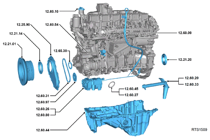 G15617526