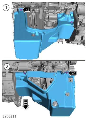 G15617538