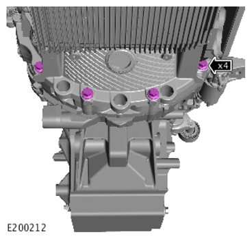 G15617539