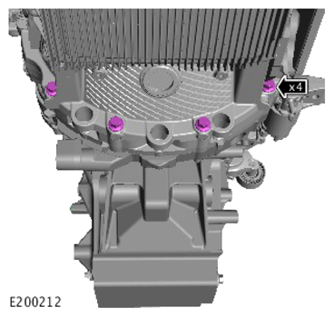G15617549