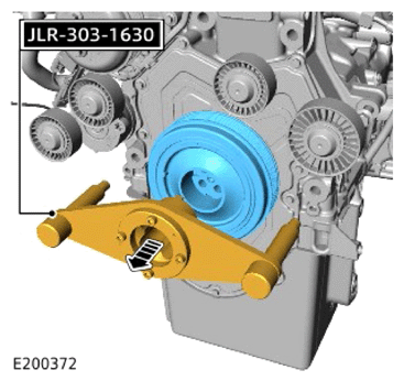 G15617565