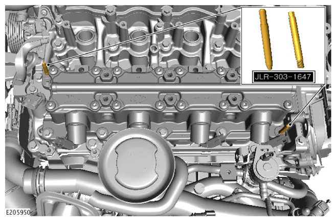 G15617582