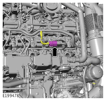 G15617592