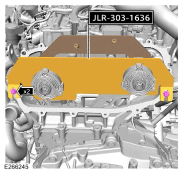 G15617621