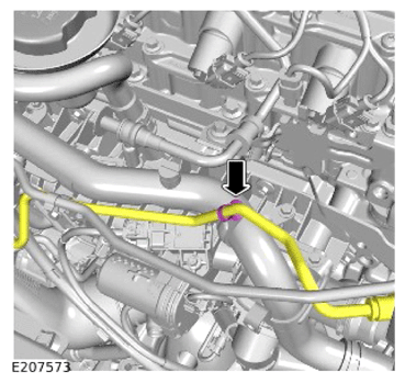 G15617747