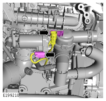 G15617750