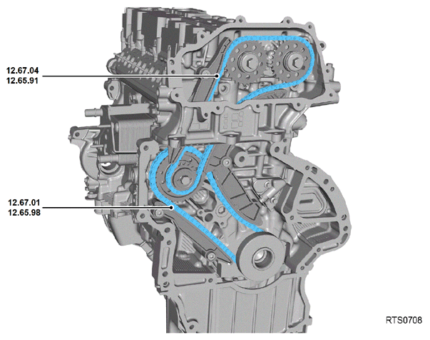 G15617796