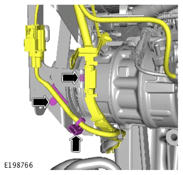 G15617850