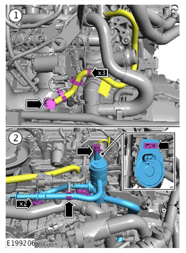 G15617884