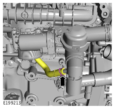 G15617891