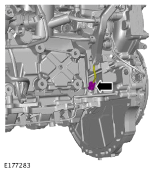 G15617946