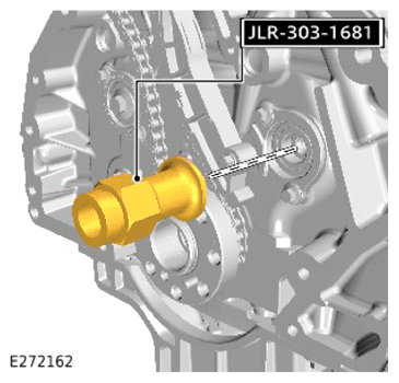 G15618036