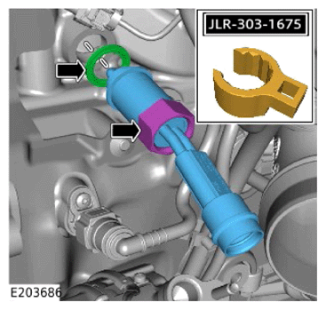 G15618230
